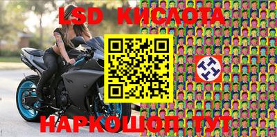 a pvp Кудрово