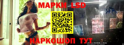 a pvp Кудрово