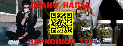 a pvp Кудрово