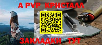 a pvp Кудрово